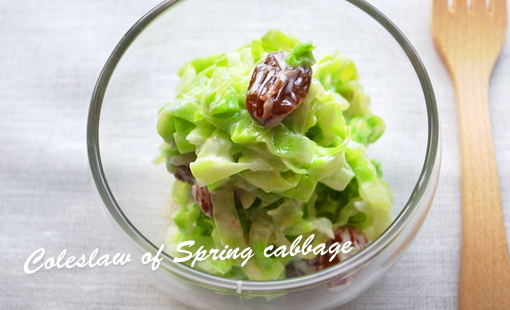 春キャベツのコールスローサラダ